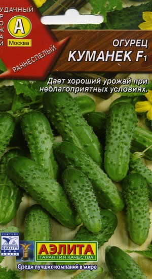 Огурец сорт куманек Огурец сорт куманек