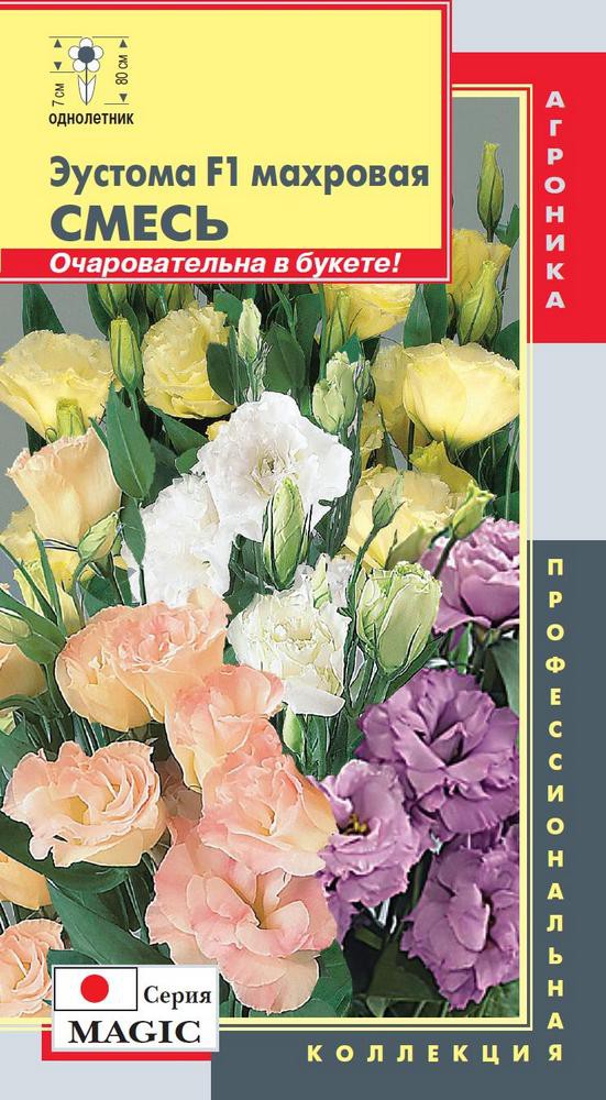 Цветы Почтой Интернет Магазин
