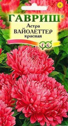 Астра Вайолеттер красная - Сезон у Дачи