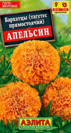 Бархатцы Апельсин прямостоячие - Сезон у Дачи