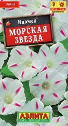 Ипомея Морская звезда (Аэлита) - Сезон у Дачи