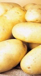 Картофель семенной Королева Анна (1 репр) 4 кг - Сезон у Дачи
