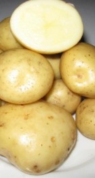 Картофель семенной Сантэ 1 кг - Сезон у Дачи