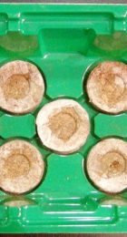 Мини-теплица 11 ячеек без таблеток (под табл. 33-36 мм) - Сезон у Дачи