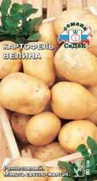 Картофель Велина (СеДеК) - Сезон у Дачи