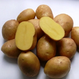Картофель семенной Коломбо (1 репр) 4 кг - Сезон у Дачи