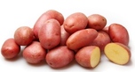 Картофель семенной Ирбитский 1 кг - Сезон у Дачи