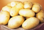 Картофель семенной Королева Анна (1 репр) 4 кг - Сезон у Дачи