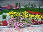Для садовых цветов и декоративных культур - Сезон у Дачи