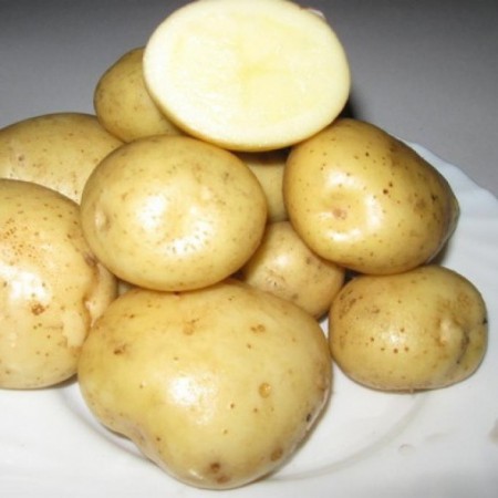 Картофель семенной Сантэ 1 кг - Сезон у Дачи