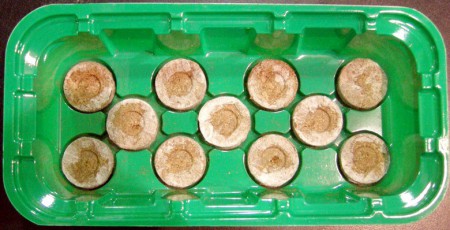 Мини-теплица 11 ячеек без таблеток (под табл. 33-36 мм) - Сезон у Дачи