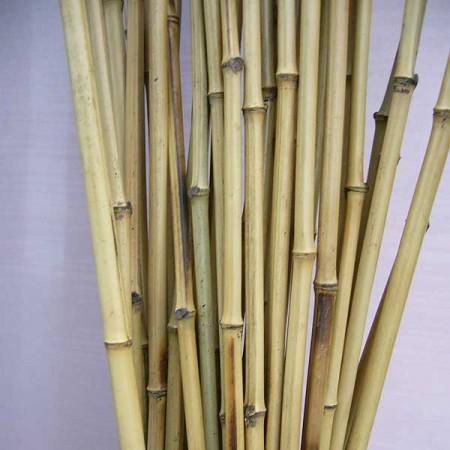 Палка бамбук  150 - Сезон у Дачи