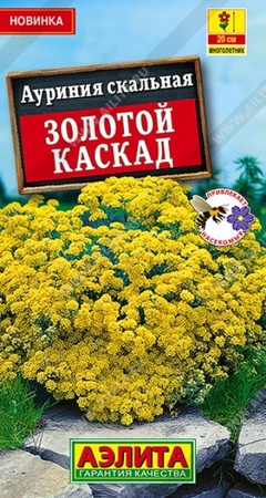Ауриния скальная (алиссум) Золотой каскад (Аэлита) - Сезон у Дачи