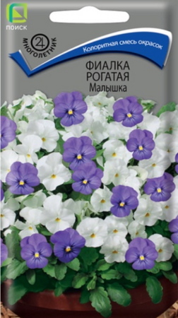 Фиалка рогатая Малышка (Поиск) - Сезон у Дачи