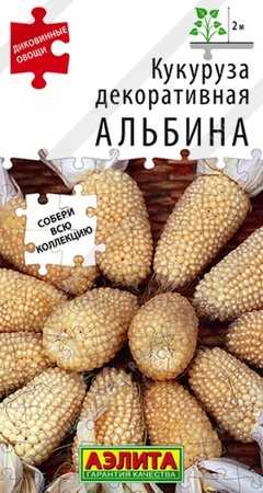 Кукуруза декоративная Альбина (Аэлита) - Сезон у Дачи