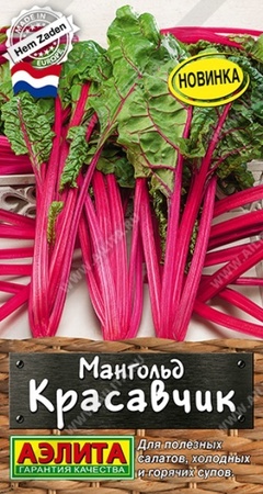 Мангольд Красавчик (Аэлита) - Сезон у Дачи