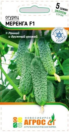 Огурец Меренга F1 (Агрос) - Сезон у Дачи