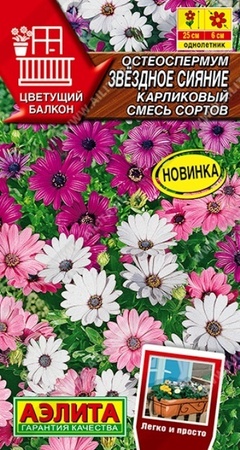 Остеоспермум карликовый Звездное сияние смесь (Аэлита) - Сезон у Дачи