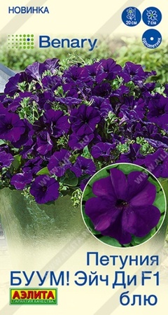 Петуния БУУМ Эйч Ди F1 Блю многоцветковая (Аэлита) - Сезон у Дачи