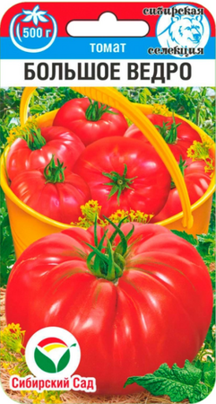 Томат Большое ведро (Сиб сад) - Сезон у Дачи