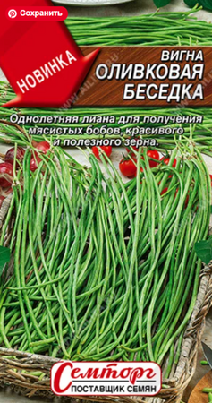 Вигна Оливковая беседка (Аэлита) - Сезон у Дачи