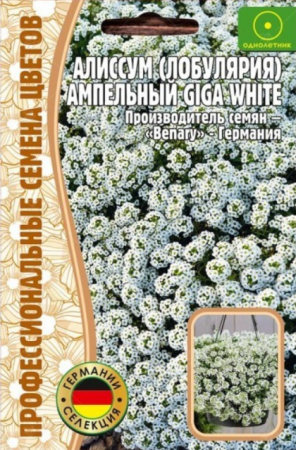 Алиссум ампельный Giga White - Сезон у Дачи