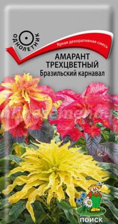 Амарант Бразильский карнавал (Поиск) - Сезон у Дачи