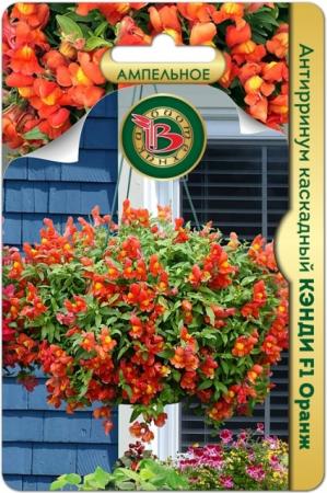 Антирринум каскадный Кэнди F1 Оранж (Биотехника) - Сезон у Дачи