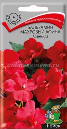 Бальзамин Афина Артемида махровый (ПОИСК) - Сезон у Дачи