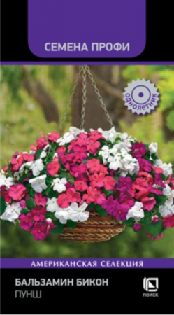 Бальзамин Бикон Пунш /Семена Профи (Поиск) - Сезон у Дачи