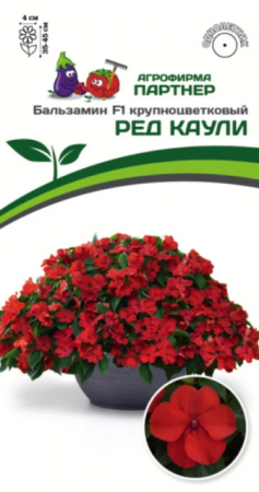 Бальзамин Уоллера Ред Каули F1 (Партнер) - Сезон у Дачи