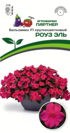 Бальзамин Уоллера Роуз Эль F1 (Партнер) - Сезон у Дачи