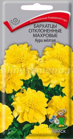 Бархатцы Аура желтая (Поиск) - Сезон у Дачи
