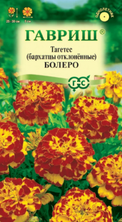Бархатцы Болеро* отклоненные (Гавриш) - Сезон у Дачи