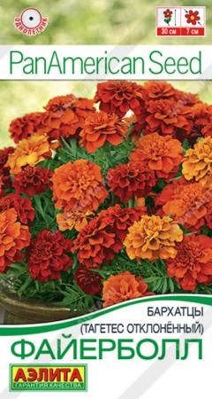 Бархатцы Файерболл отклоненные (Аэлита) - Сезон у Дачи