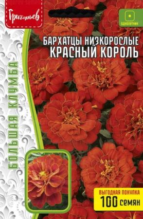 Бархатцы Красный Король низкорослые махровые (Григорьев) - Сезон у Дачи