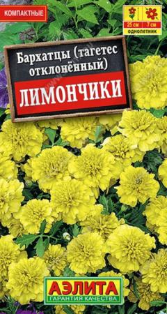 Бархатцы Лимончики отклоненные - Сезон у Дачи