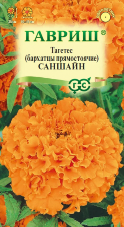 Бархатцы Саншайн прямостоячие - Сезон у Дачи