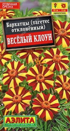 Бархатцы Весёлый клоун (Аэлита) - Сезон у Дачи