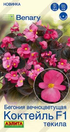 Бегония вечноцветущая Коктейль F1 текила (Аэлита) - Сезон у Дачи