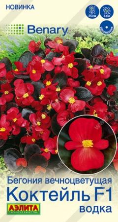 Бегония вечноцветущая Коктейль F1 водка (Аэлита) - Сезон у Дачи