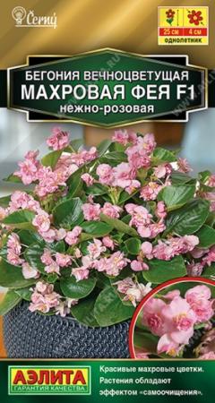 Бегония вечноцветущая махровая Фея F1 нежно-розовая (Аэлита) - Сезон у Дачи