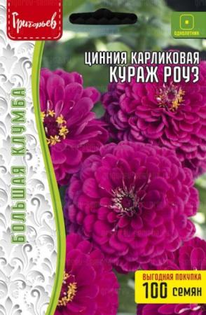 Цинния Кураж Роуз карликовая (H.Courage Rose) (Григорьев) - Сезон у Дачи
