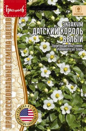 Экзакум Датский Король Белый (Royal Dane White) (Григорьев) - Сезон у Дачи