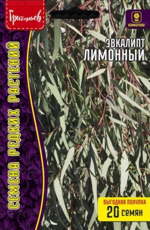 Эвкалипт Лимонный ВП (Григорьев) - Сезон у Дачи