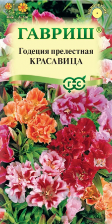 Годеция Красавица махровая смесь (Гавриш) - Сезон у Дачи