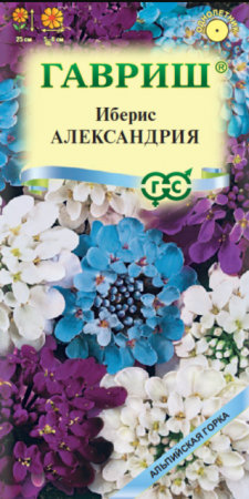 Иберис Александрия /Альпийская горка (Гавриш) - Сезон у Дачи