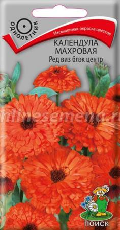 Календула Ред Виз Блэк Центр махровая (Поиск) - Сезон у Дачи
