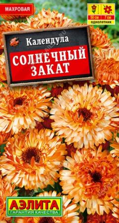 Календула Солнечный закат (Аэлита) - Сезон у Дачи