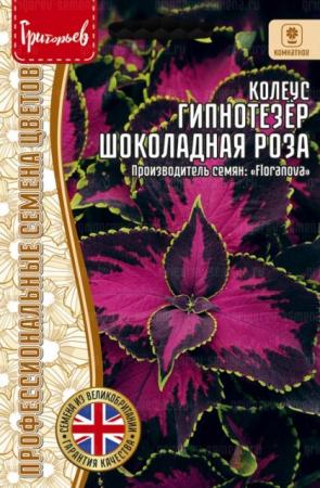 Колеус Гипнотезёр Шоколадная Роза (Mezmerize Chocolate Rose) (Григорьев) - Сезон у Дачи